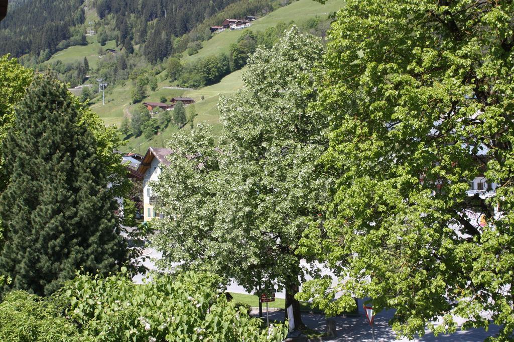Haus Hofer Apartment Bramberg am Wildkogel Cameră foto