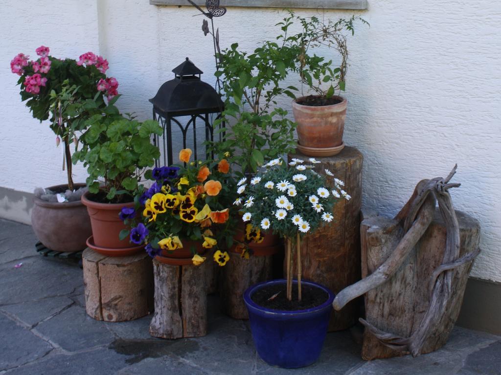 Haus Hofer Apartment Bramberg am Wildkogel Exterior foto