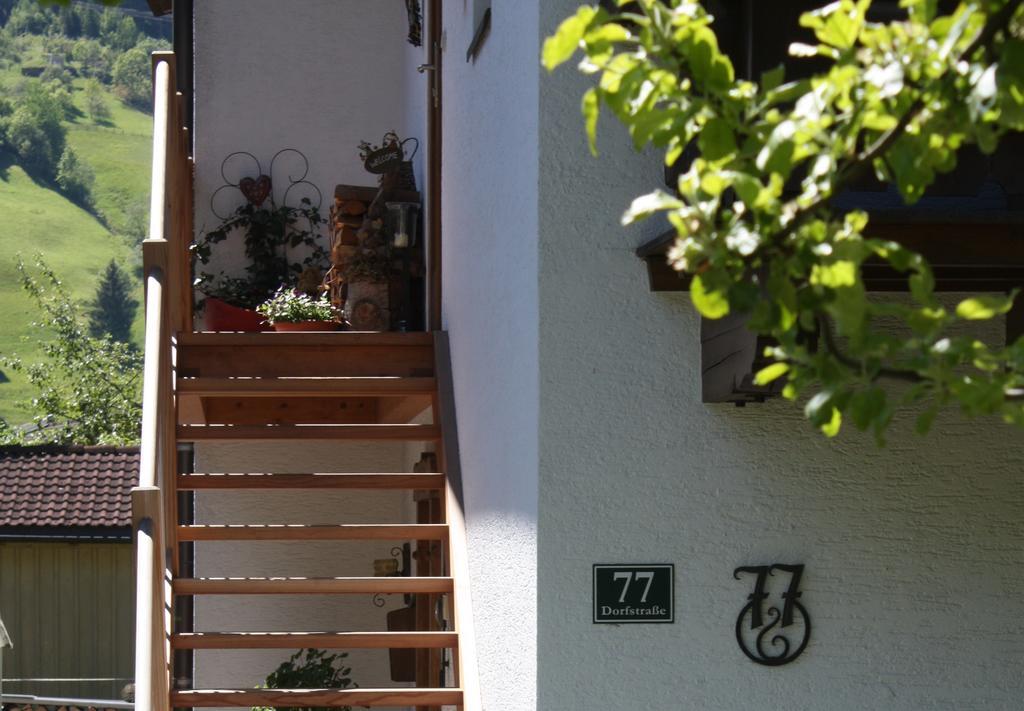 Haus Hofer Apartment Bramberg am Wildkogel Cameră foto